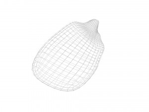 Corn Kernel Model 3D