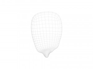 Corn Kernel Model 3D