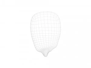 Кукурузное ядро 3D Модель