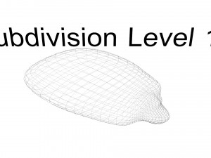 Corn Kernel Model 3D