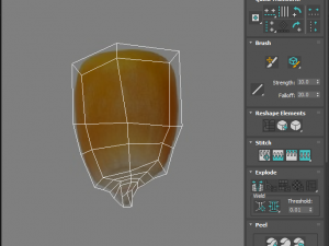 Corn Kernel Model 3D