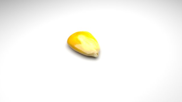 Corn Kernel 3D Модель .c4d .max .obj .3ds .fbx .stl .blend 