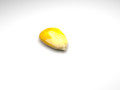 Corn Kernel 3D 모델