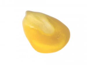 옥수수 커널 3D 모델