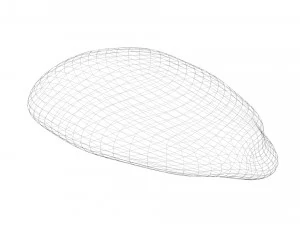 옥수수 커널 3D 모델