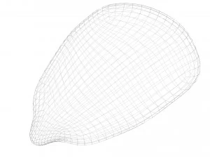 옥수수 커널 3D 모델