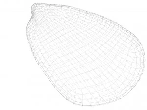 옥수수 커널 3D 모델