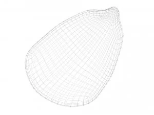 옥수수 커널 3D 모델