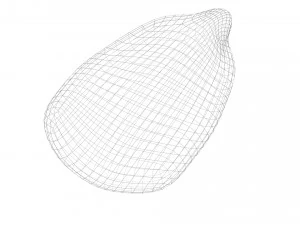 옥수수 커널 3D 모델