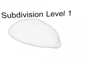 옥수수 커널 3D 모델