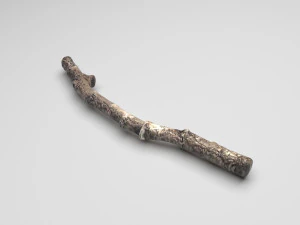 Ağa&ccedil; Dalı 3D Model