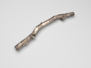 Tree Branch 3D Model