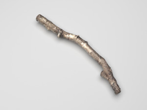 Tree Branch 3D Model