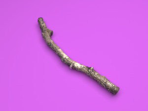 Tree Branch 3D Model