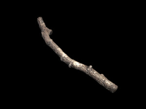 Tree Branch 3D Model