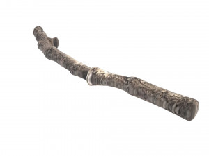 Tree Branch 3D Model