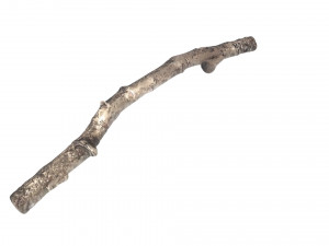 Tree Branch 3D Model