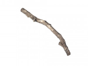 Tree Branch 3D Model