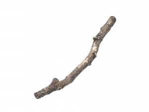 Tree Branch 3D Model