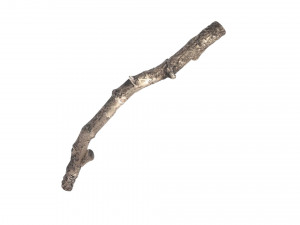 Tree Branch 3D Model