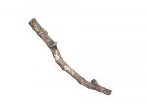 Tree Branch 3D Model