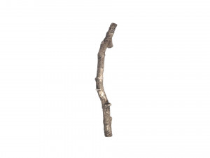 Tree Branch 3D Model