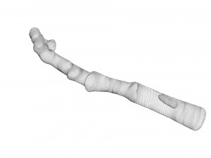 Tree Branch 3D Model