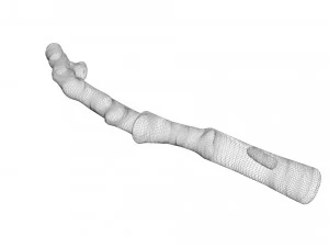 Tree Branch 3D Model