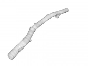 Tree Branch 3D Model