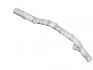 Tree Branch 3D Model