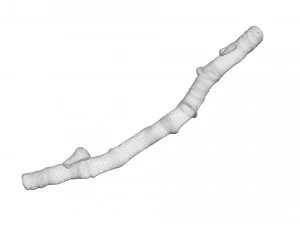 Tree Branch 3D Model