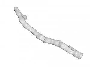 Tree Branch 3D Model