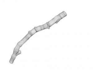 Tree Branch 3D Model