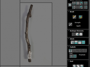Tree Branch 3D Model