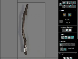 Tree Branch 3D Model