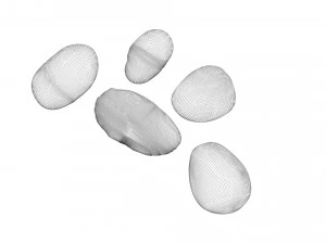 Rocks Set 3D Model