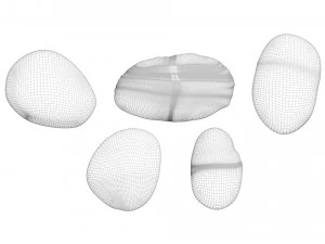 Rocks Set 3D Model