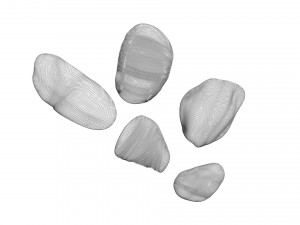 Rocks Set 3D Model