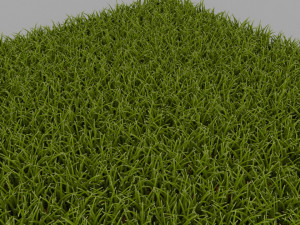 Grass Modello 3D