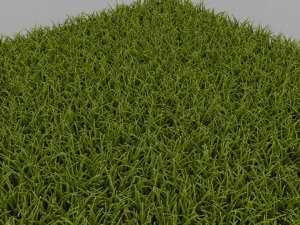 Grass 3D Model
