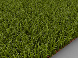 Grass Modello 3D