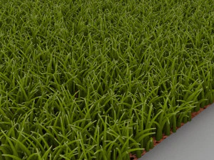Grass 3D Model