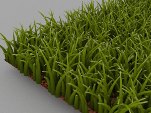Grass Modello 3D