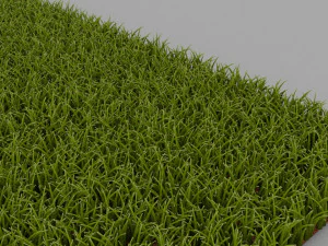 Grass 3D Model