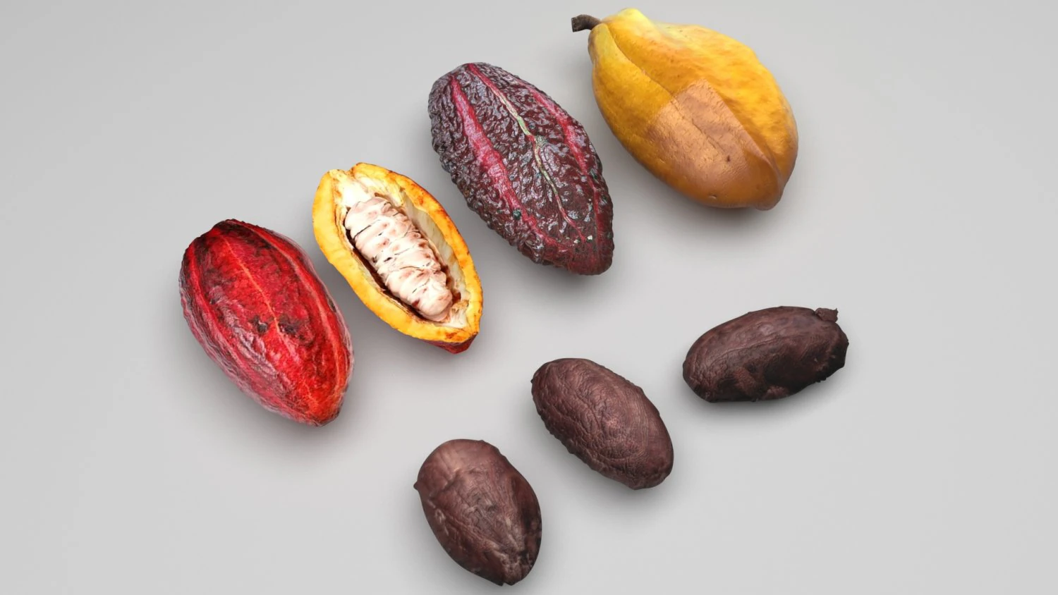 Cocoa Fruits and Beans Set 3D Model .c4d .max .obj .3ds .fbx .stl .blend 