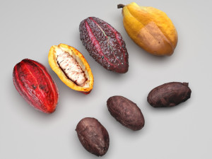 Cocoa Fruits and Beans Set 3Dモデル