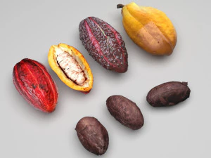 Set di frutti e fave di cacao Modello 3D