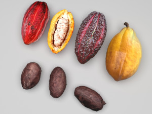 Cocoa Fruits and Beans Set Model 3D