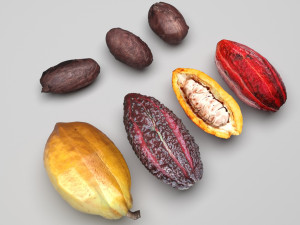 Cocoa Fruits and Beans Set Model 3D