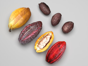 Cocoa Fruits and Beans Set Model 3D